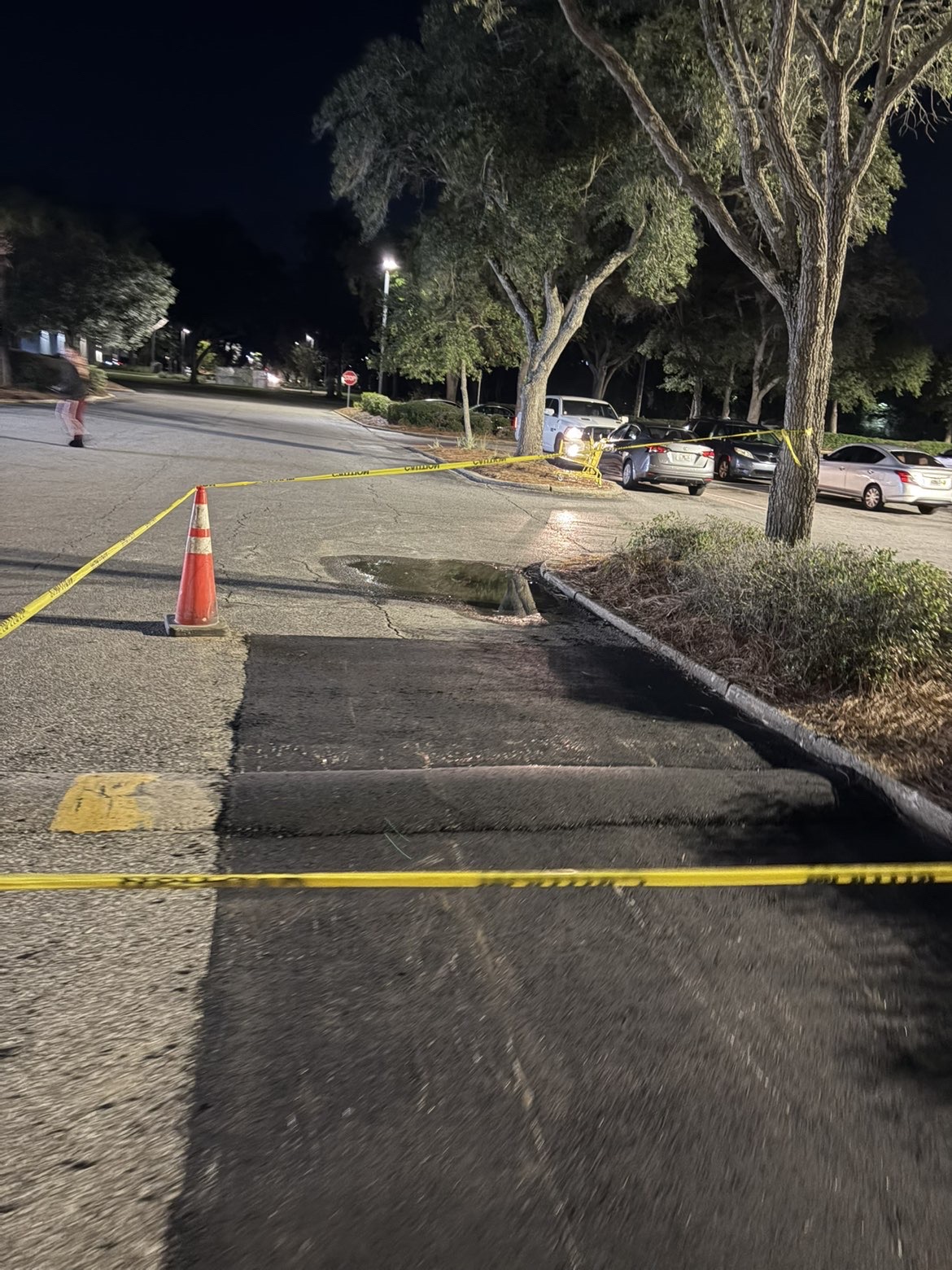 Entry lane with cones